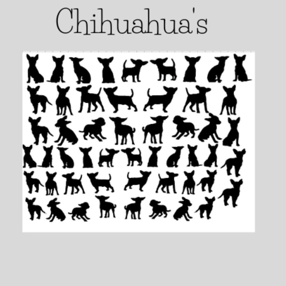 Chihuahua's- Nail Stickers\Nail Decals \Art Sticker for DIY Finger, Toe n…